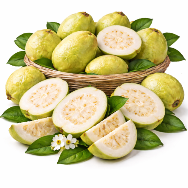 GUAVA