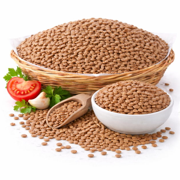 BROWN LENTILS