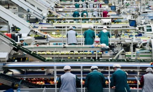 Detailed Food Packag